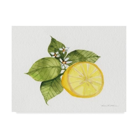 Kathleen Parr Mckenna 'Citrus Garden Ix' Canvas Art,35x47